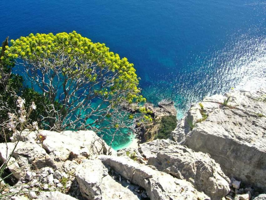 B&B Sa Clarera Baunei Εξωτερικό φωτογραφία