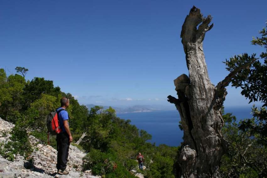 B&B Sa Clarera Baunei Εξωτερικό φωτογραφία